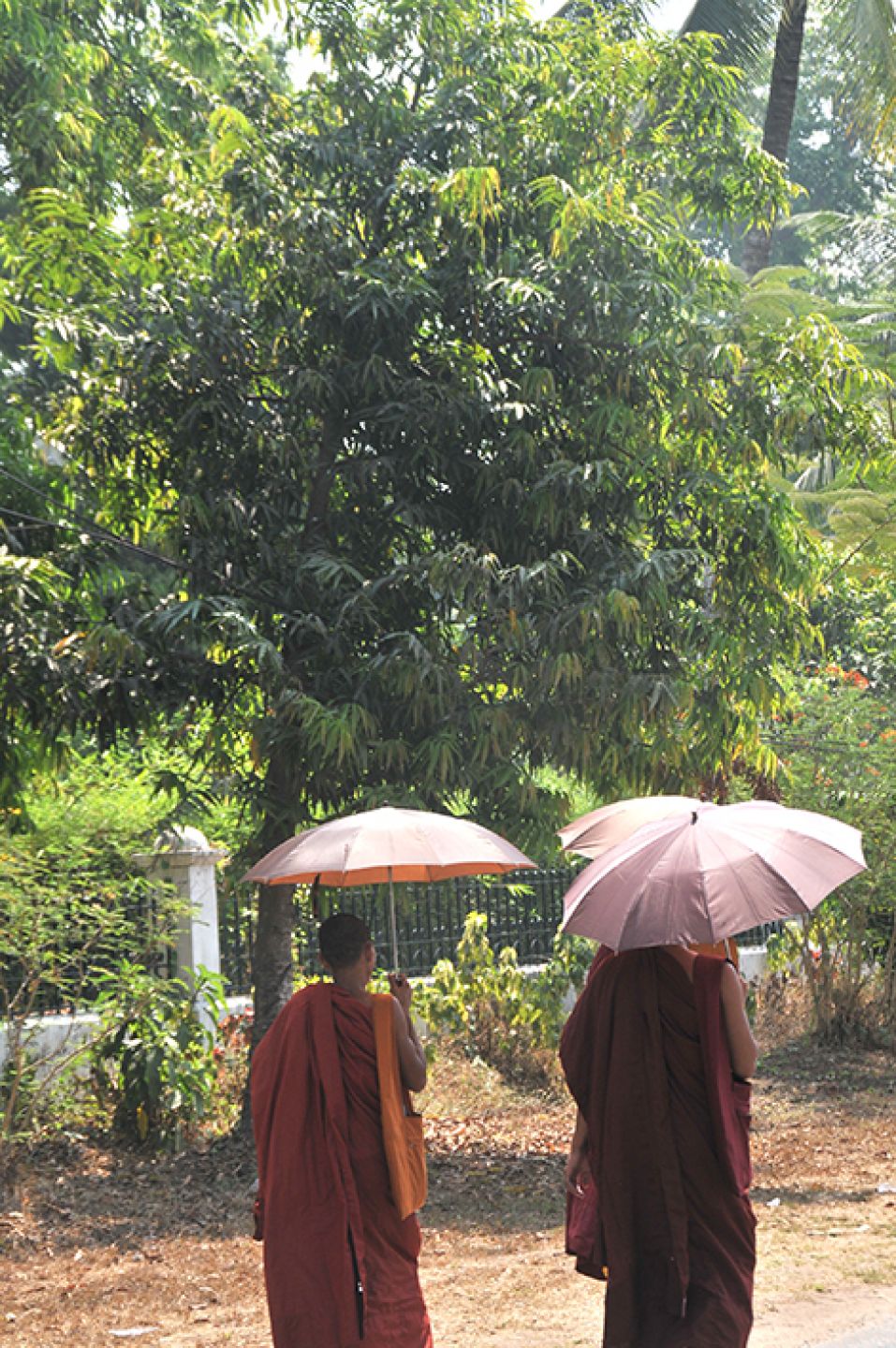 Myanmar 167