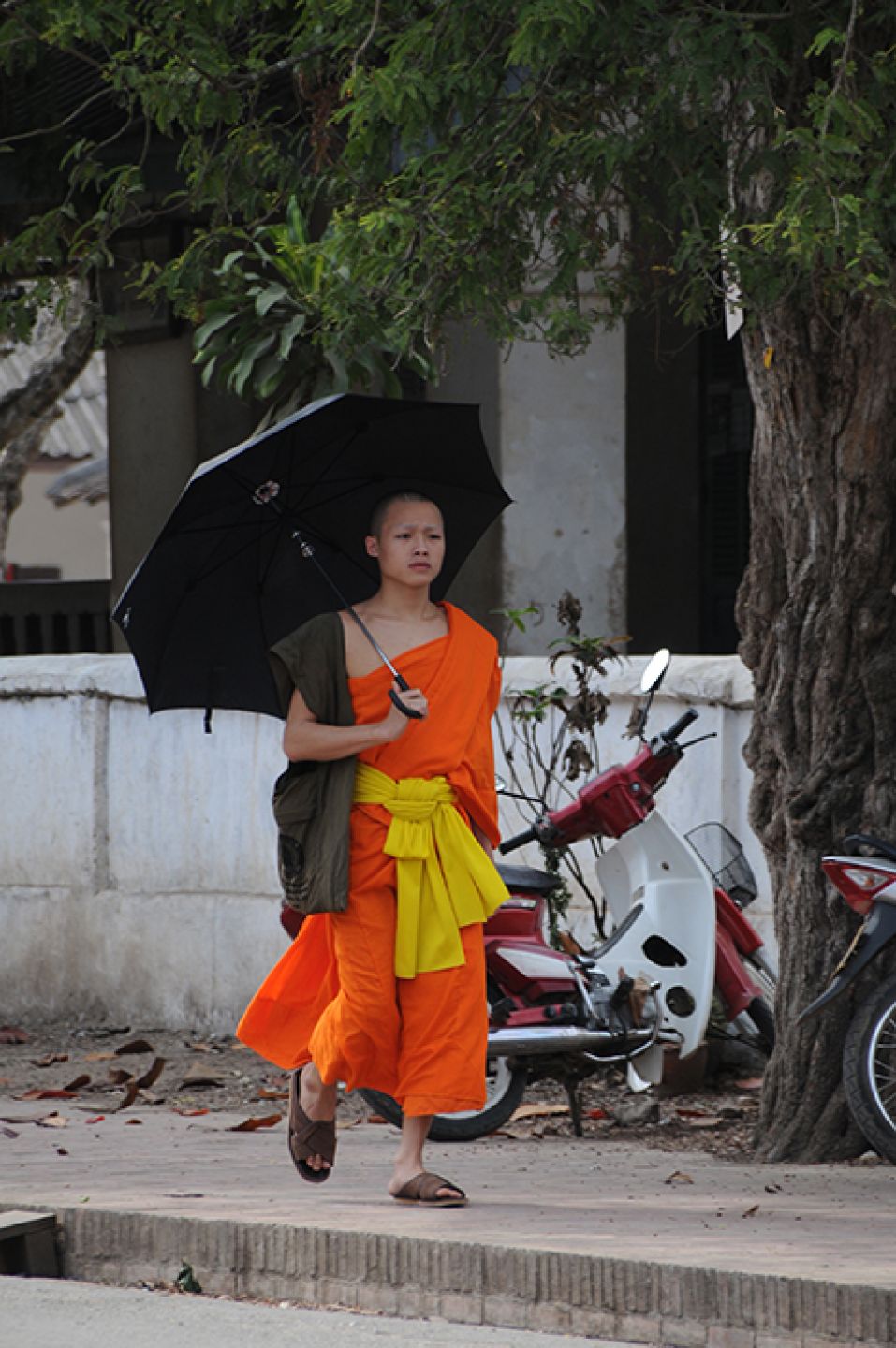 Myanmar 186