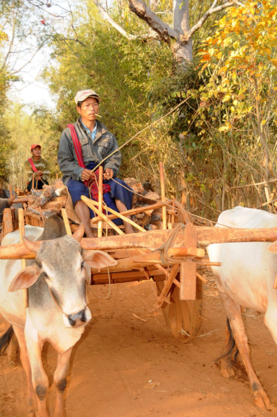 Myanmar 204
