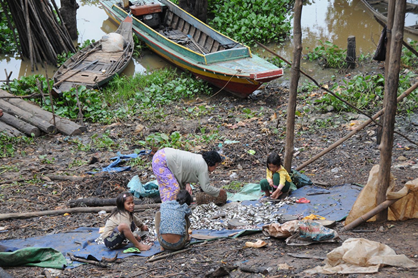 Myanmar 276