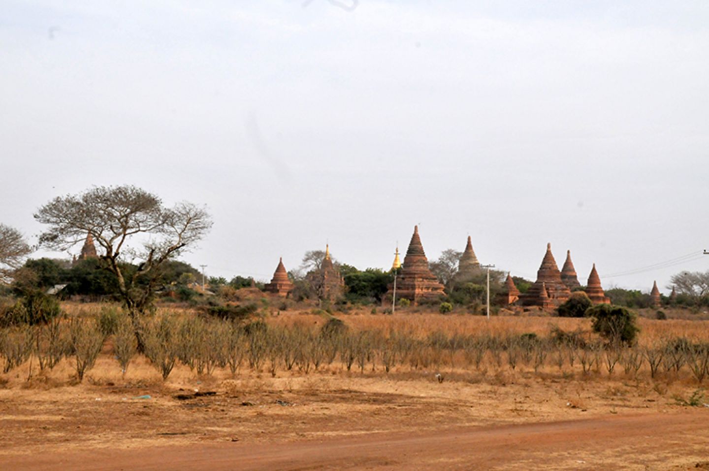 Myanmar 311