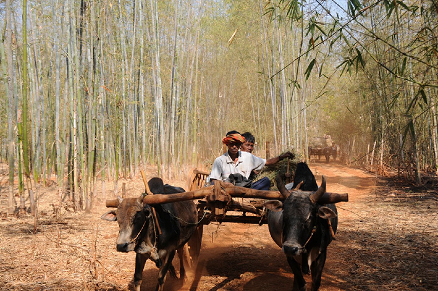 Myanmar 333