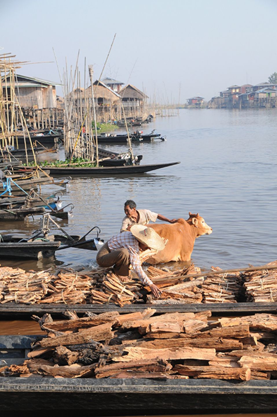 Myanmar 429