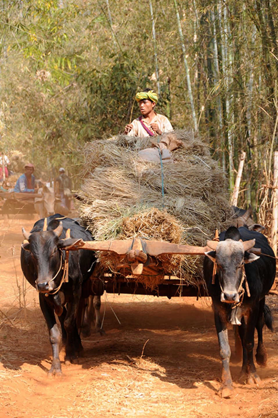 Myanmar 43
