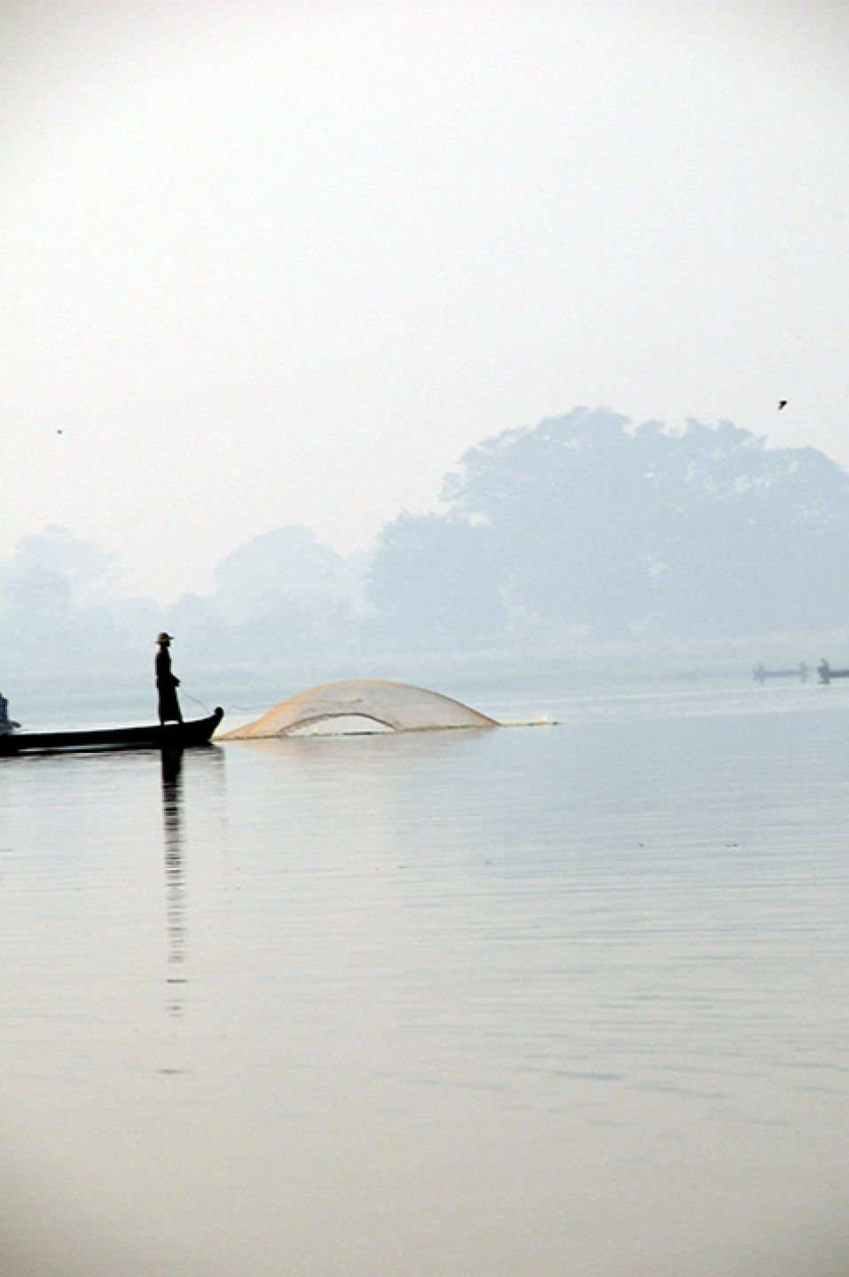 Myanmar 444