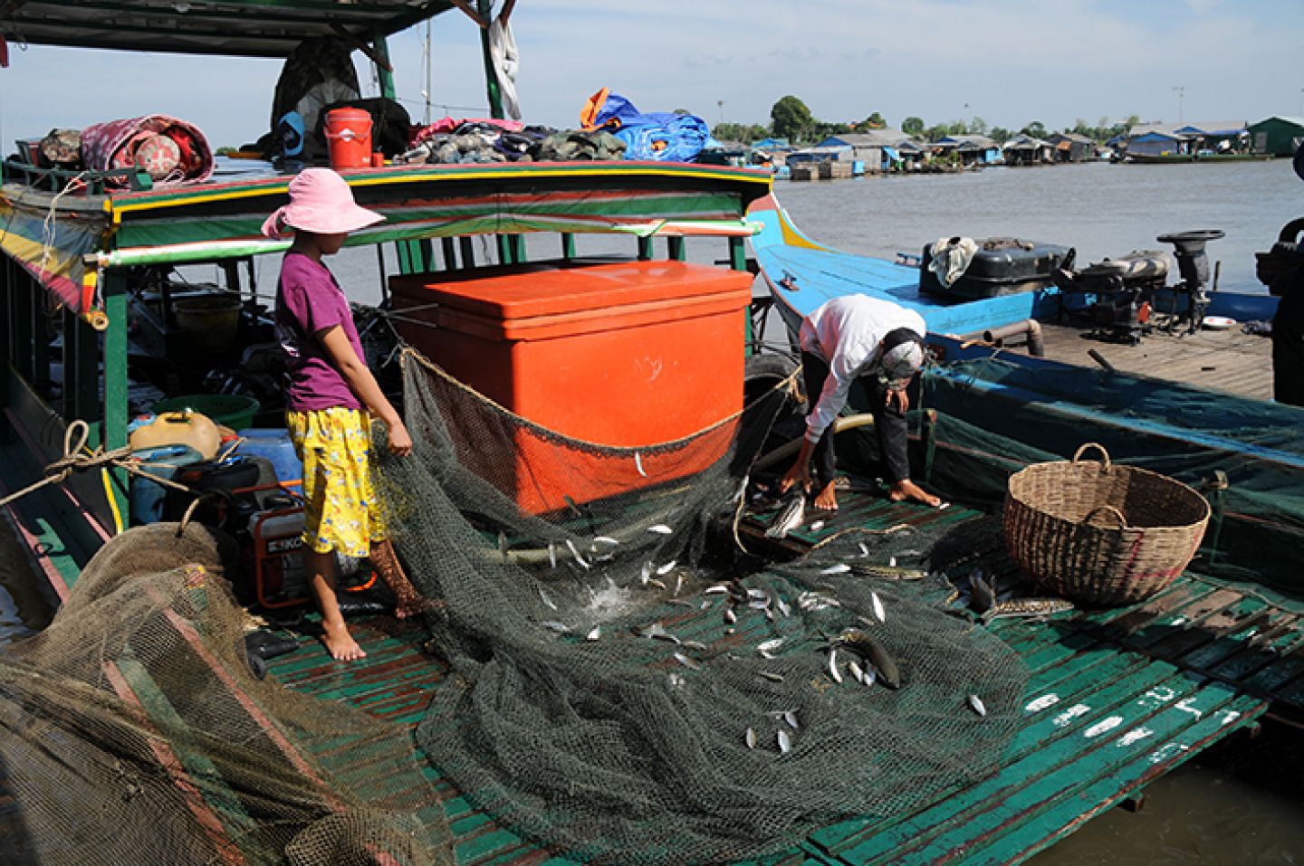 Myanmar 445