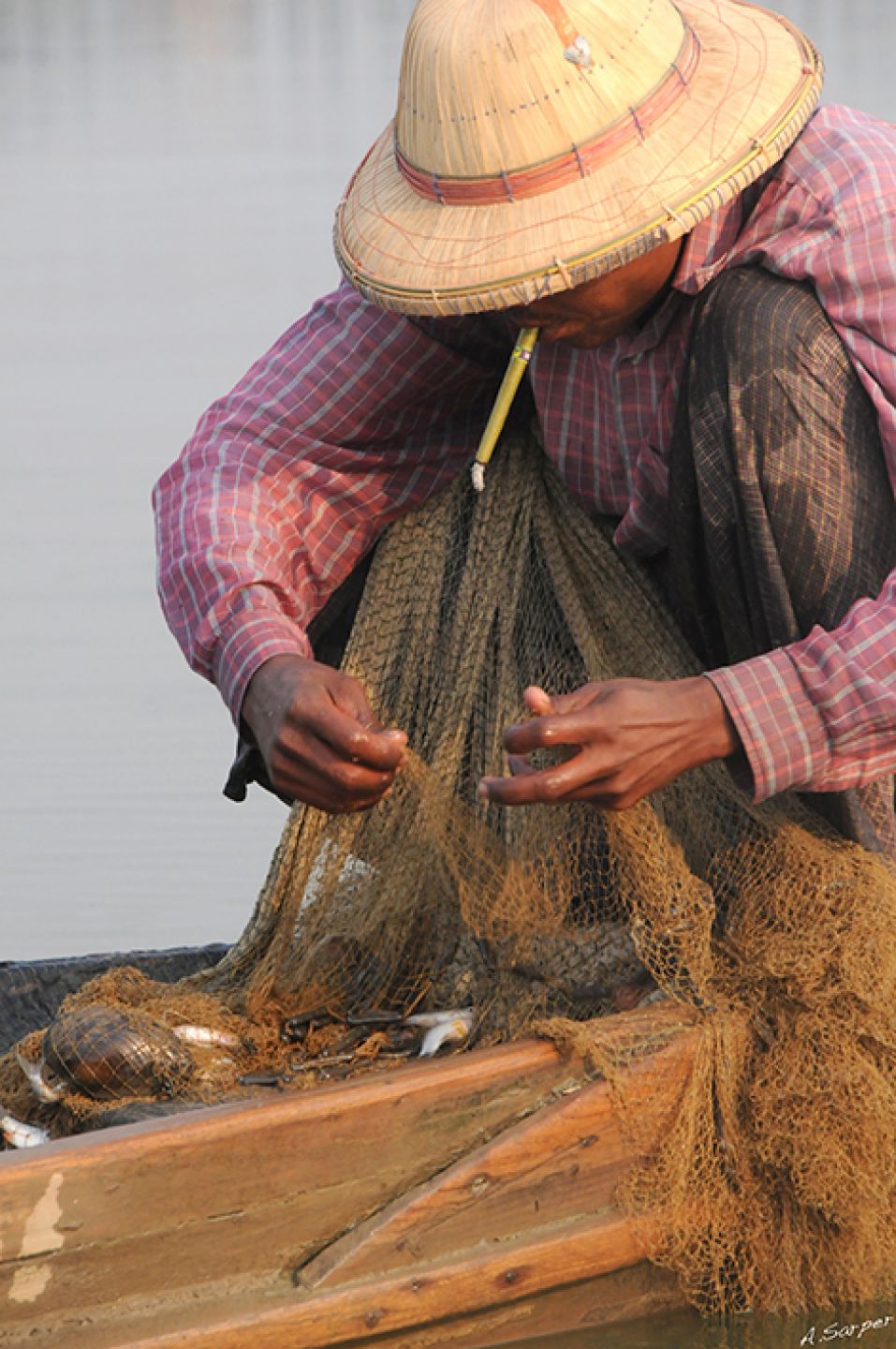 Myanmar 449
