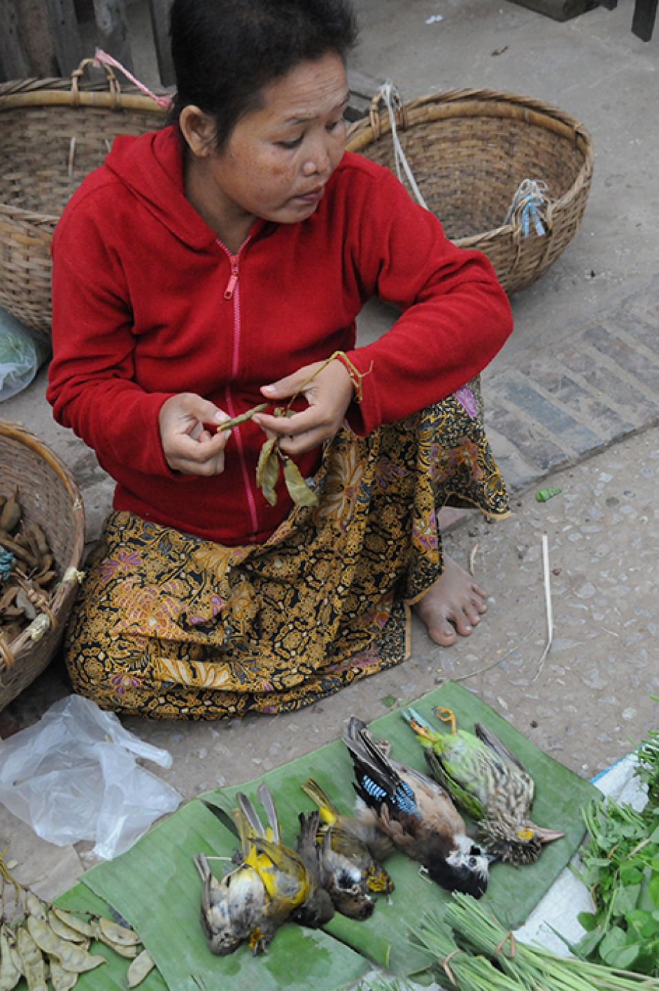 Myanmar 454
