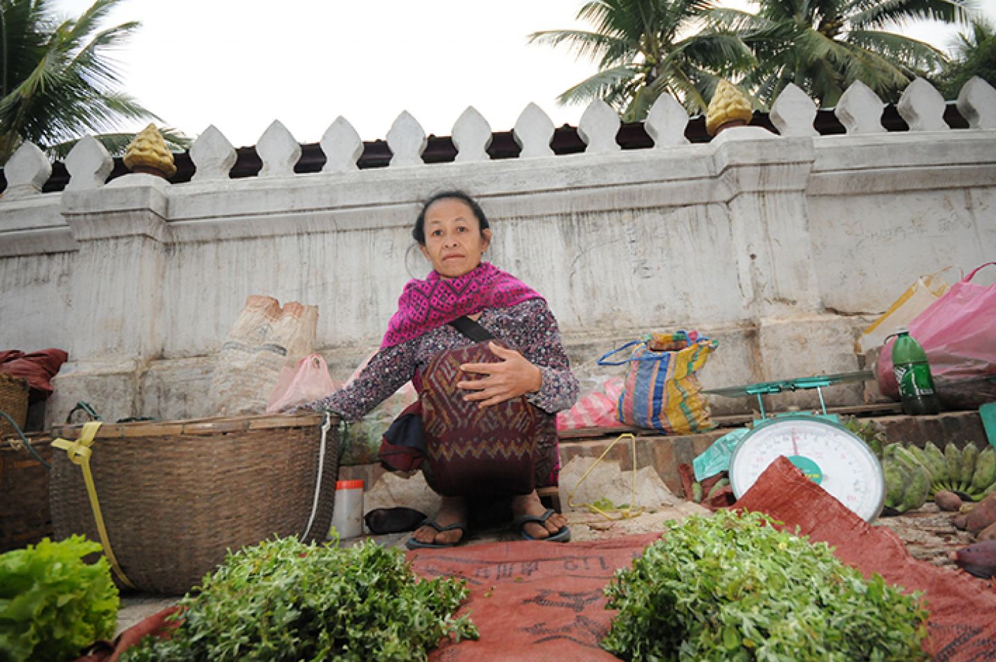 Myanmar 6