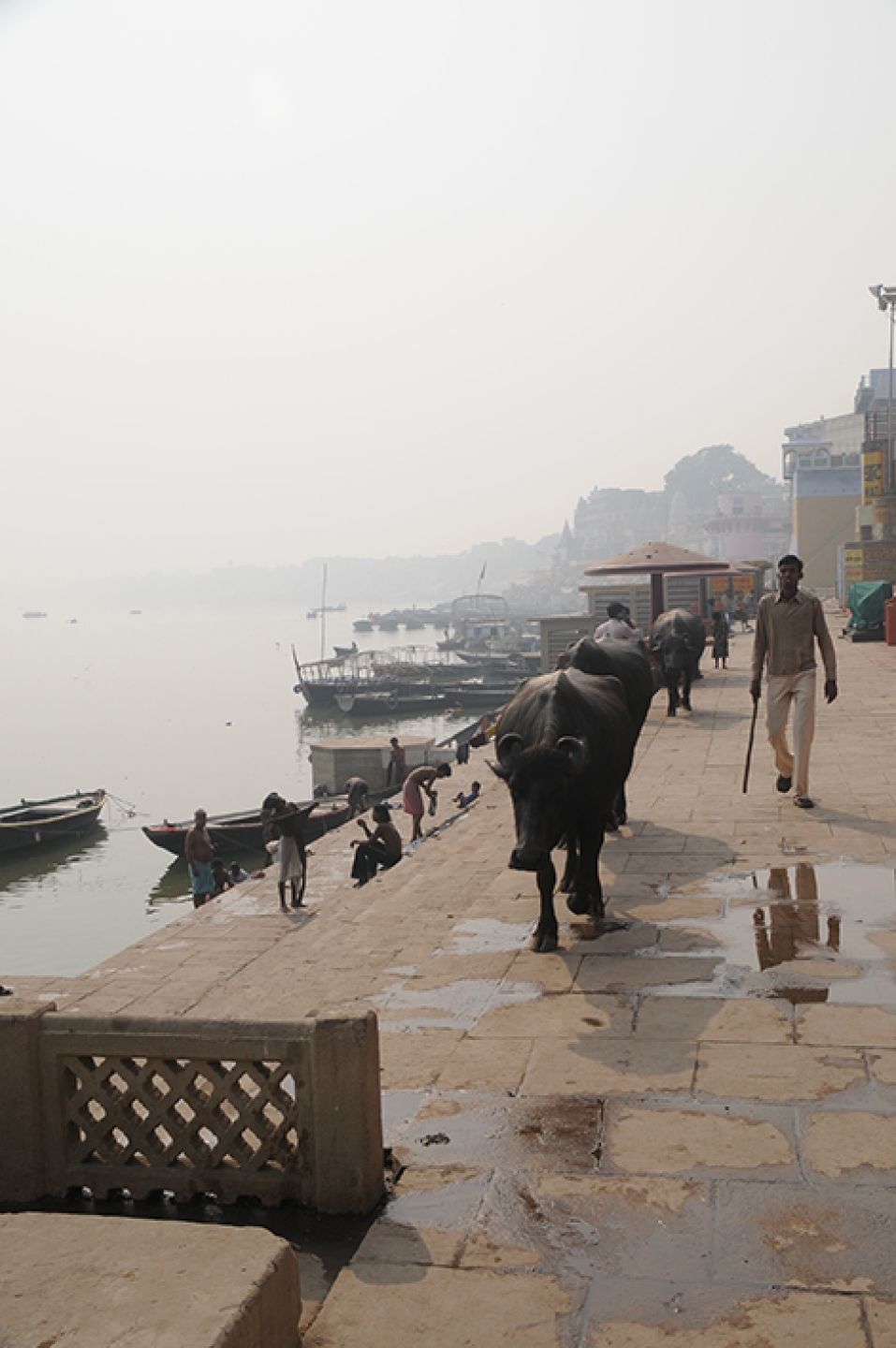 Hindistan 221