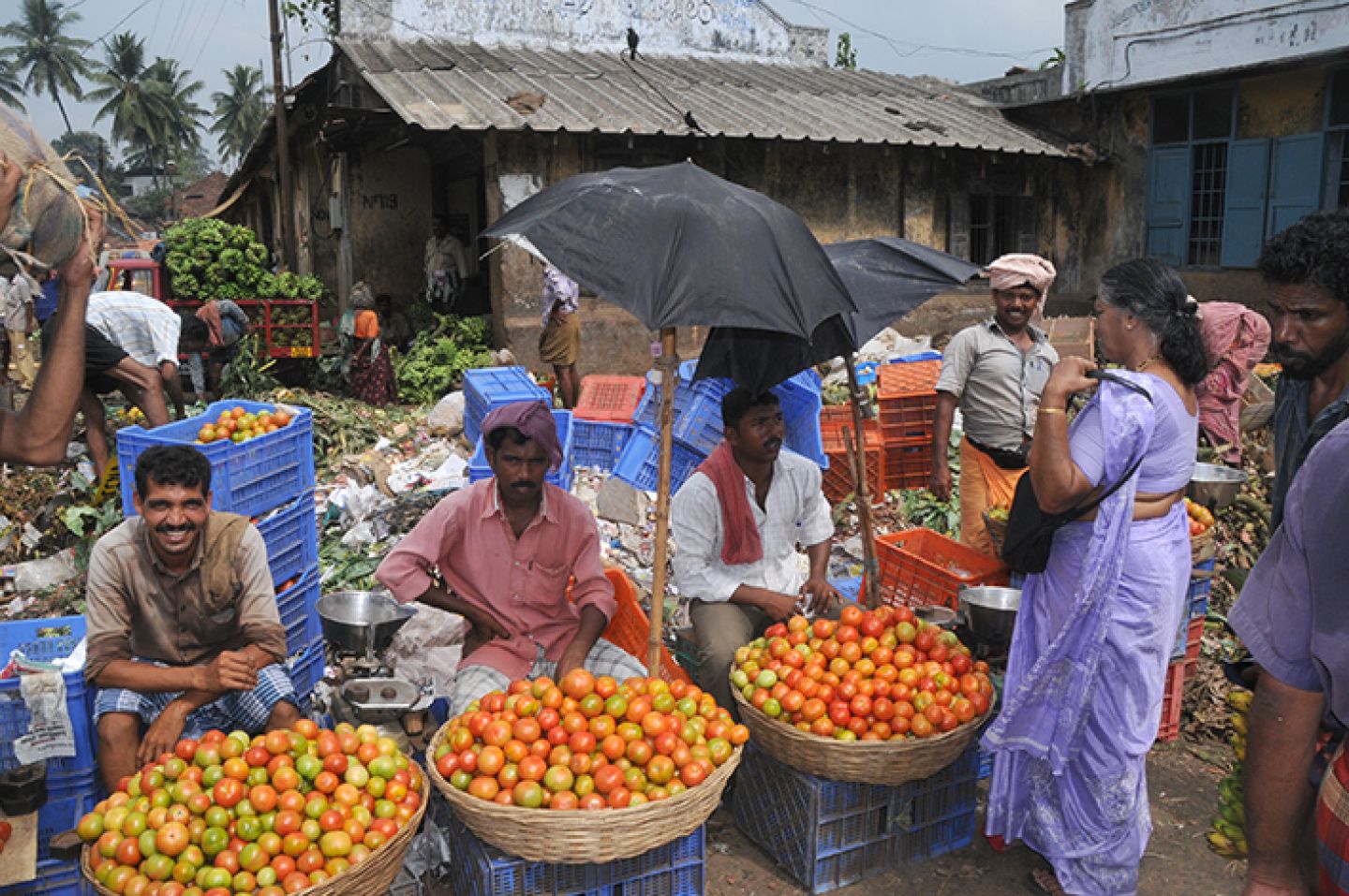 India 307