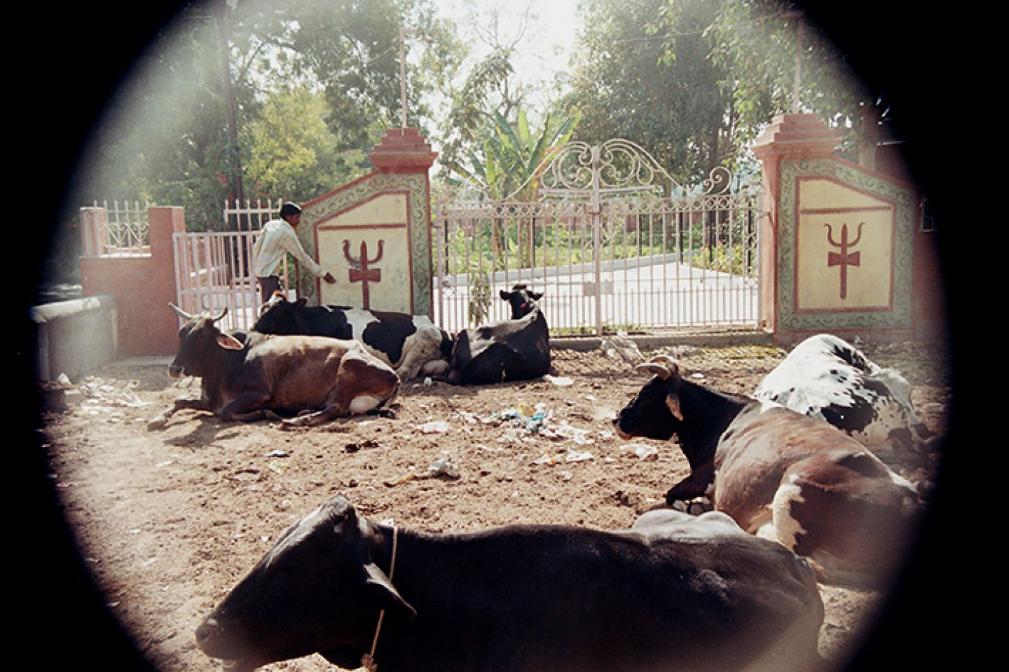 Hindistan 329