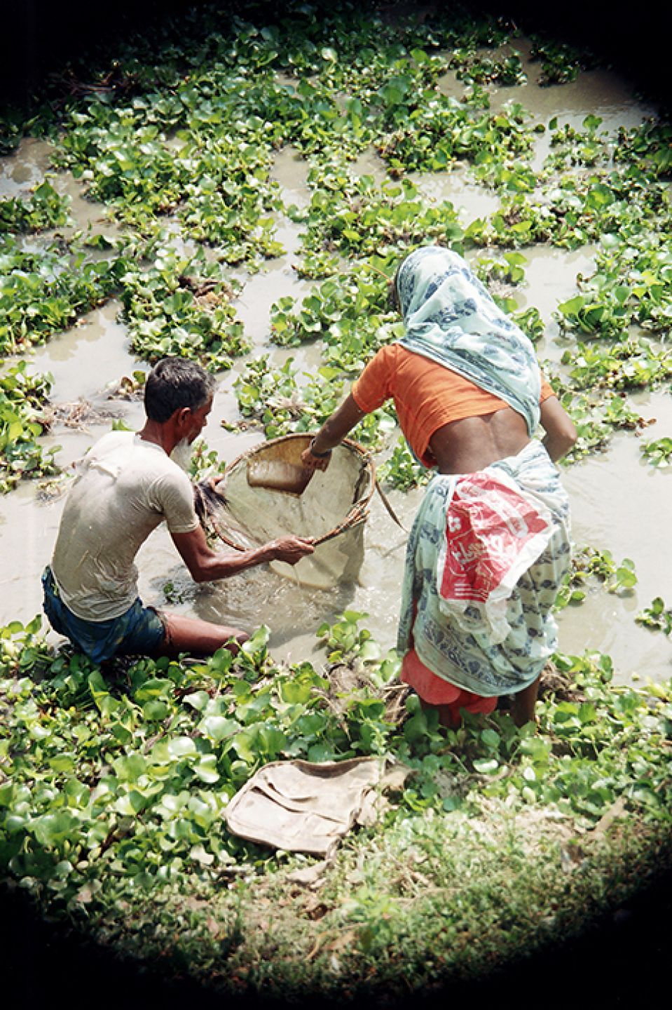 India 341