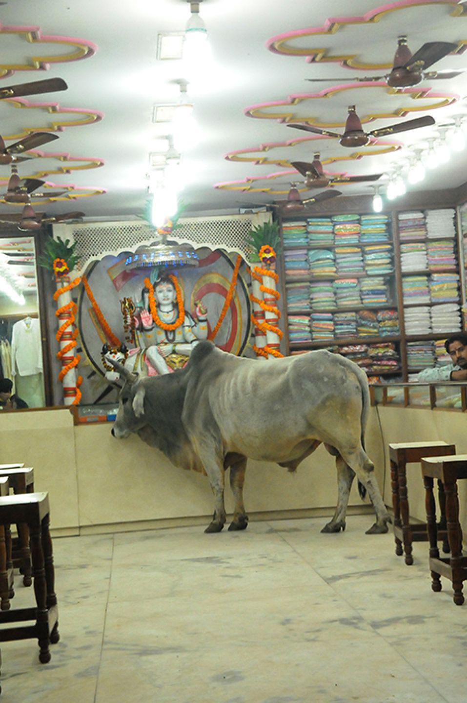 Hindistan 382