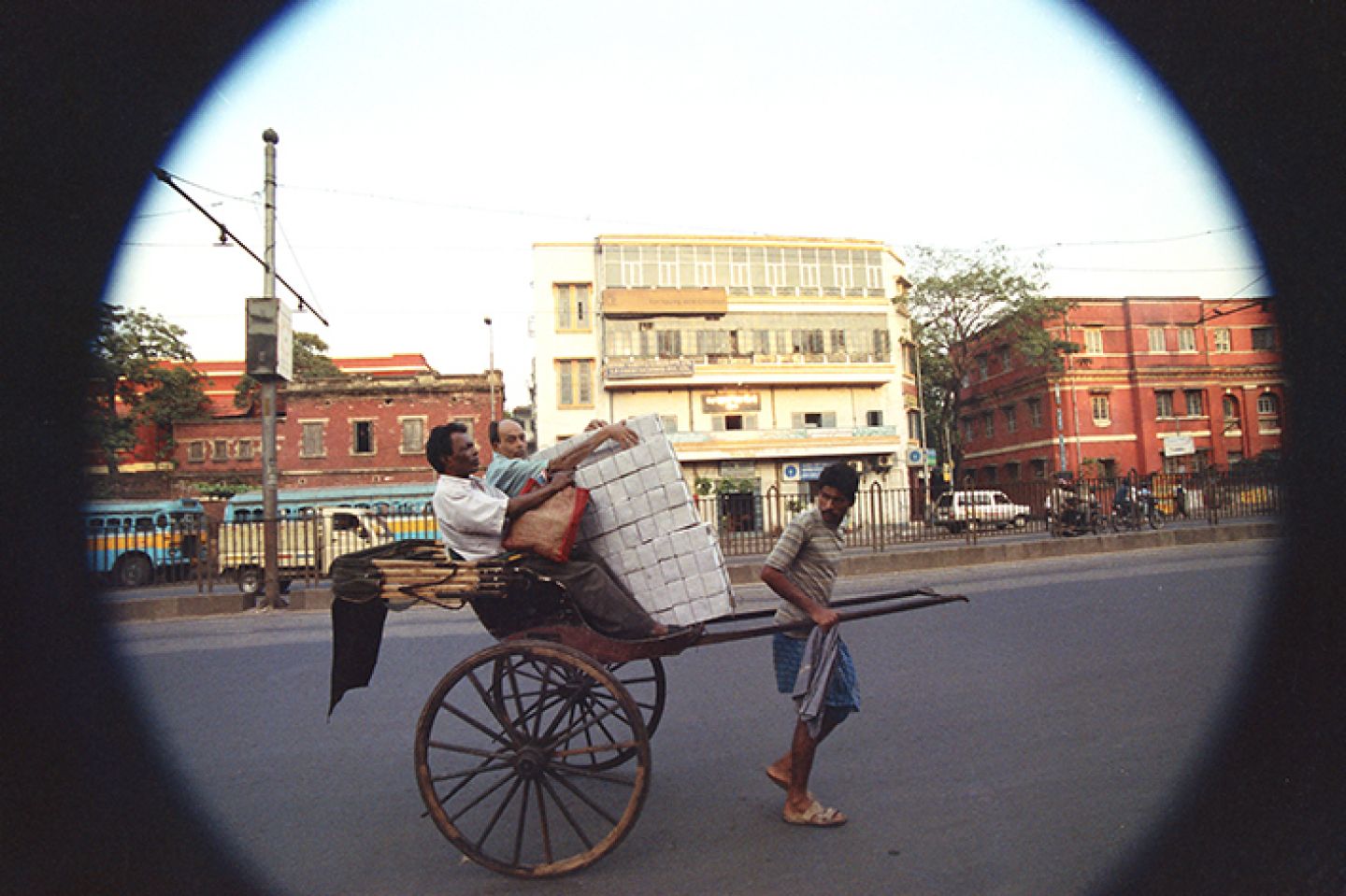 Hindistan 447