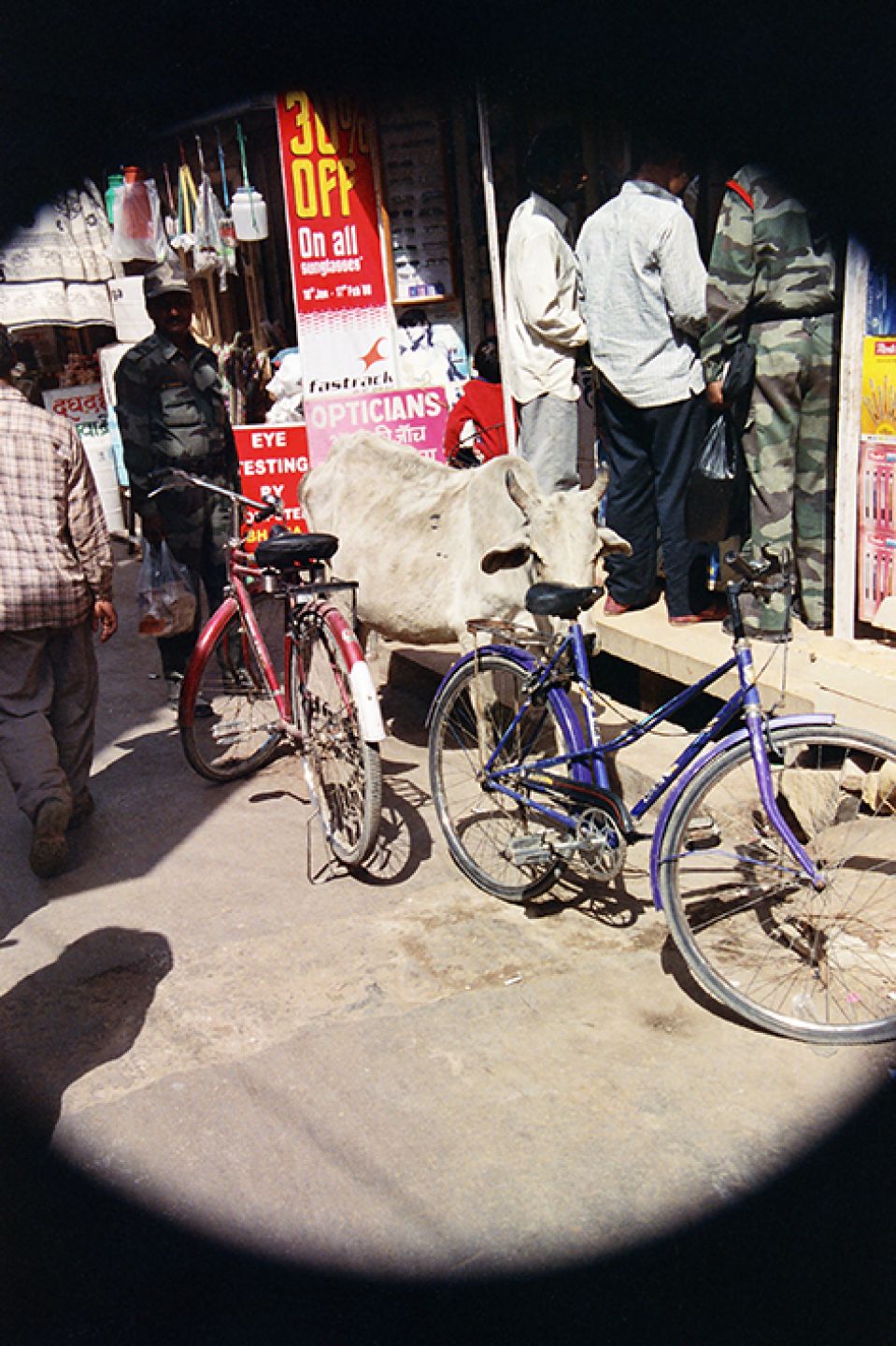 India 450