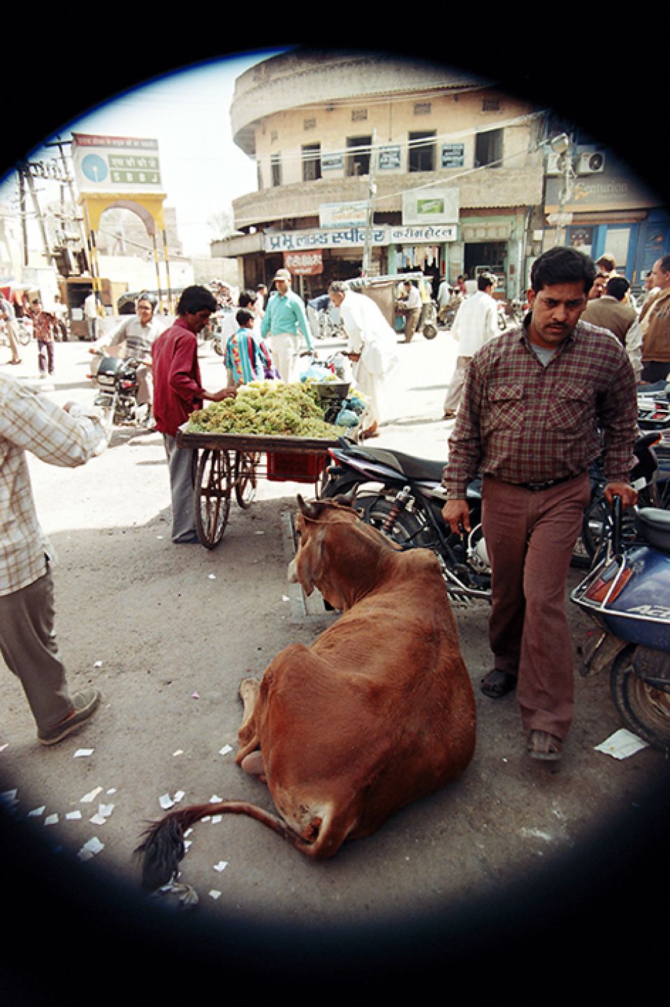 India 478
