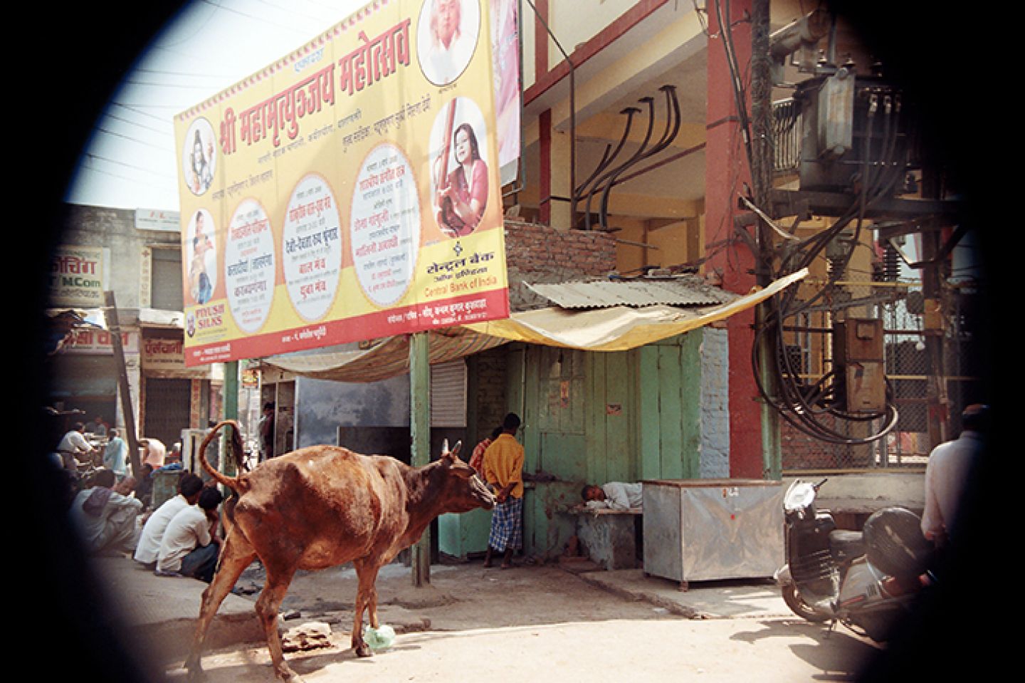India 513