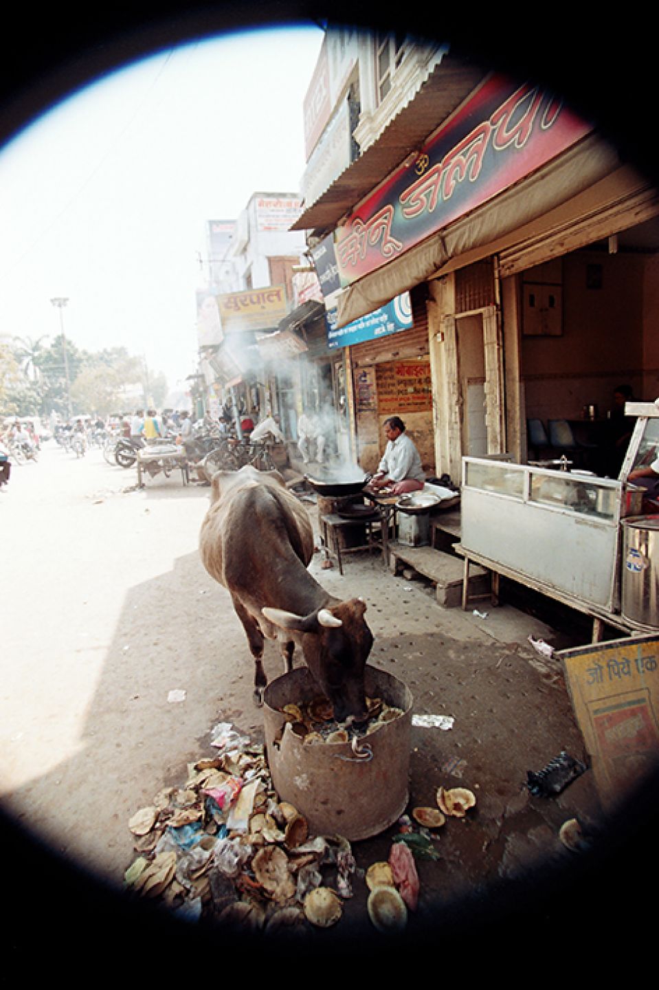 Hindistan 59