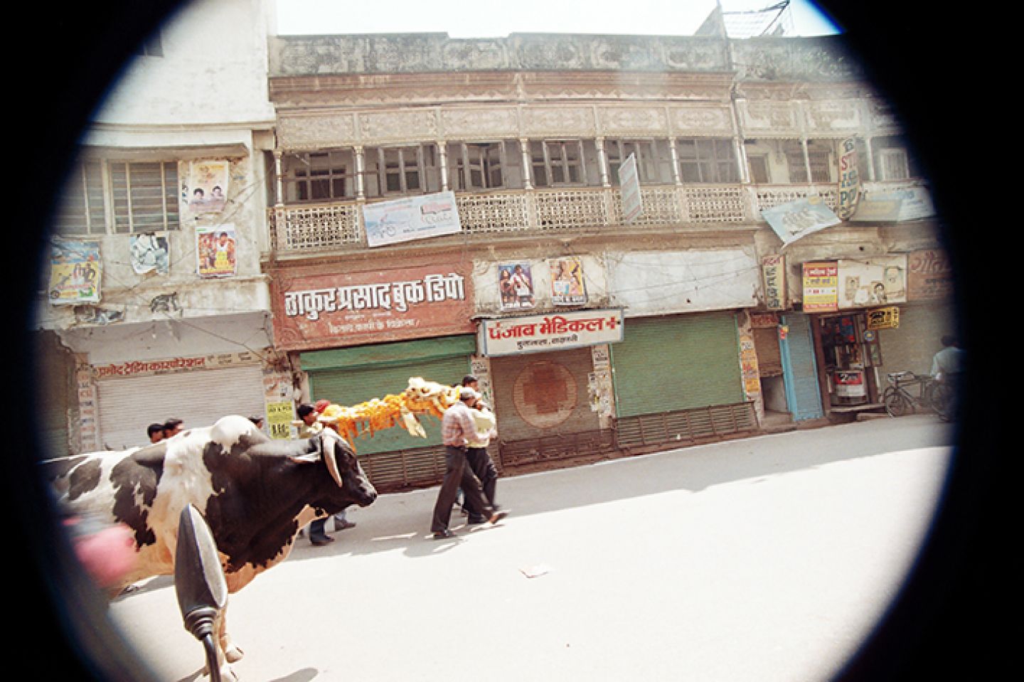 India 83